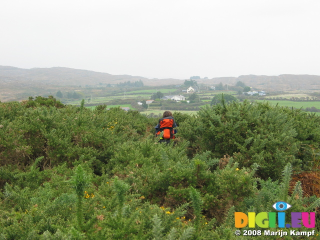 23963 Wouko hiking through pointy bushes